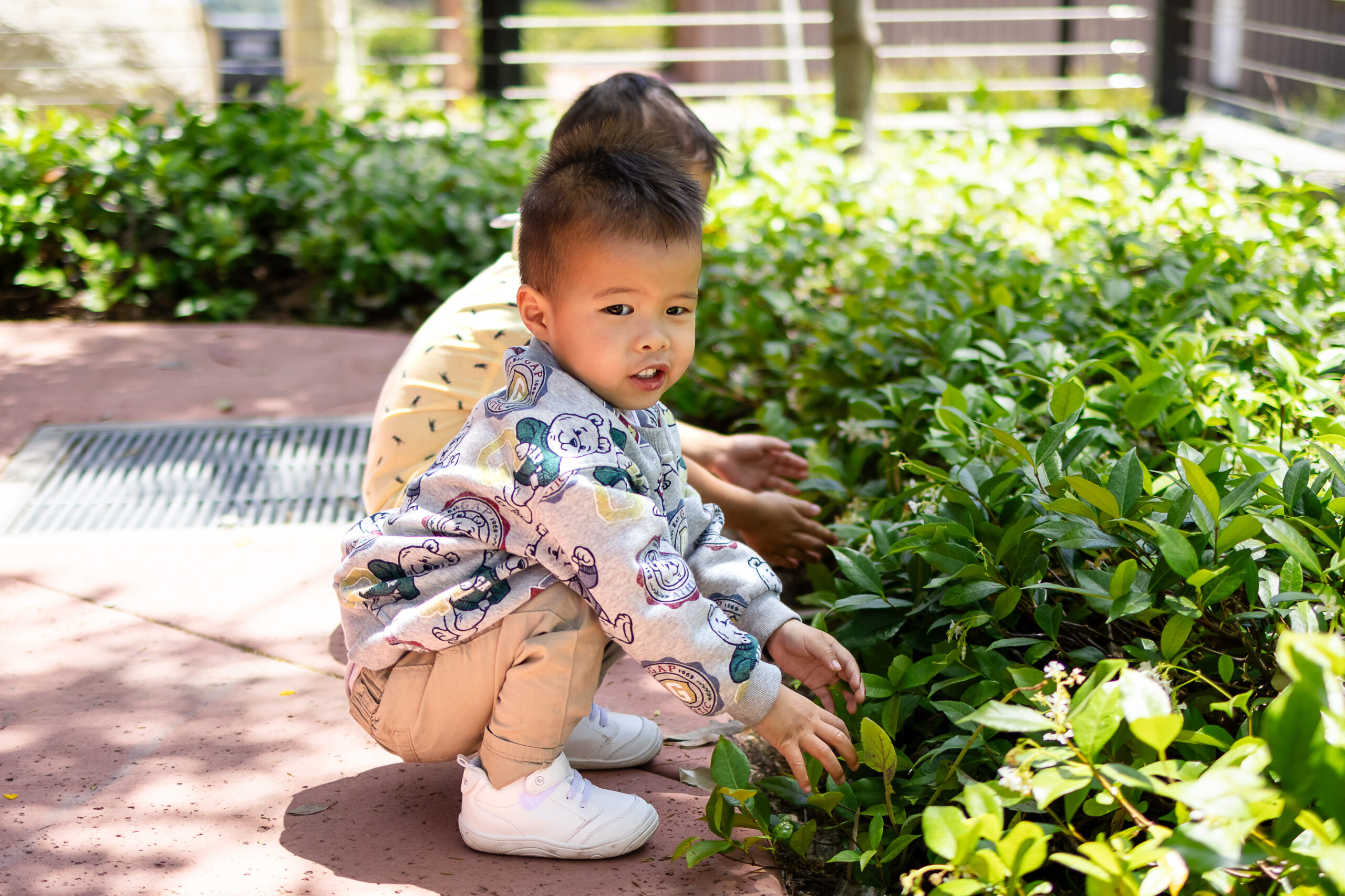 Toddler crouched beside green shrubs, exploring and playing during a natural light family photography session