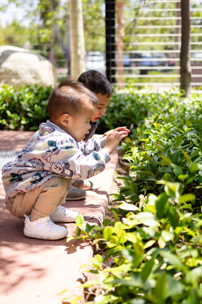 Tips for family photos with toddlers: two young boys crouched down exploring plants during an outdoor session
