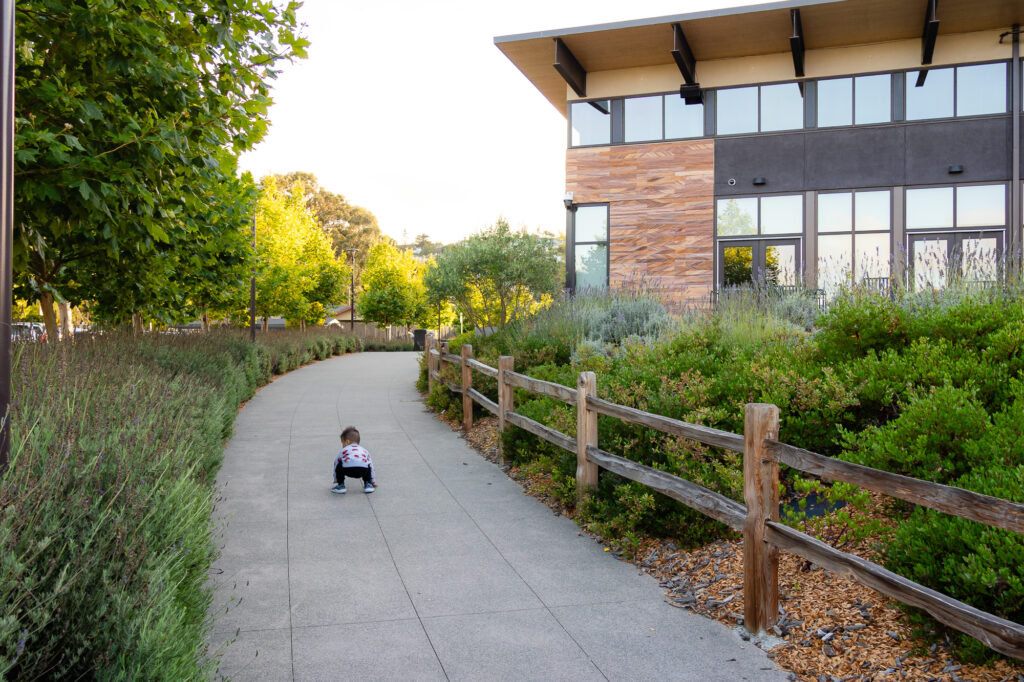 Young child walking along scenic garden path at Central Park Millbrae towards Millbrae Recreation Center – Ellobelle Photography