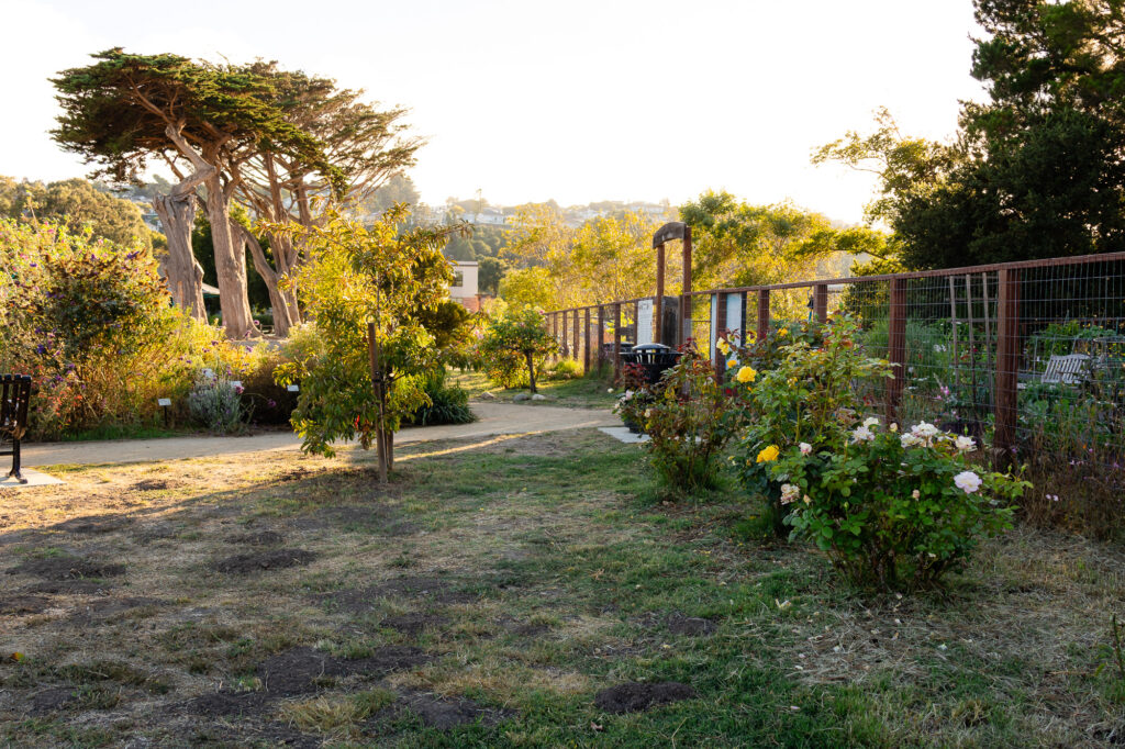 Peaceful garden pathway near the community garden at Central Park Millbrae – Ellobelle Photography