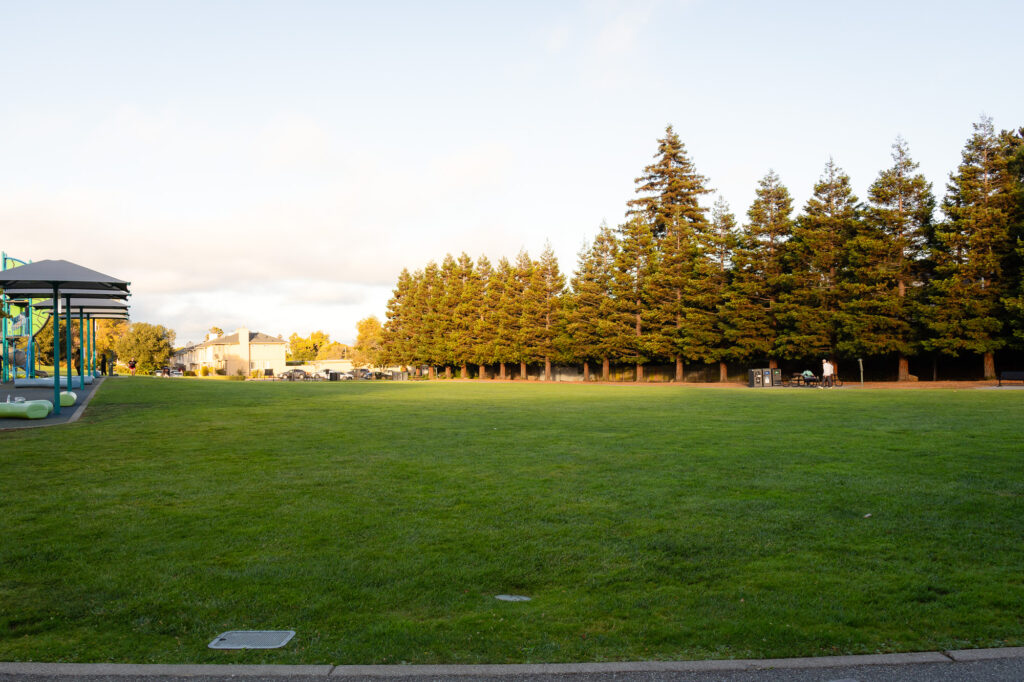 Open grassy field with trees at Millbrae Central Park – Ellobelle Photography