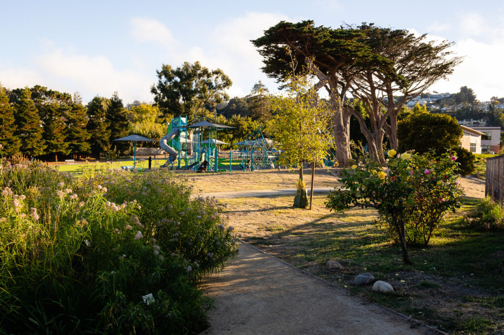 Scenic view of Millbrae Central Park playground surrounded by greenery – Ellobelle Photography