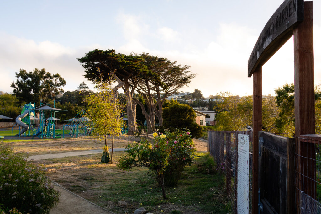 View from garden toward playground area in Millbrae Central Park – Ellobelle Photography