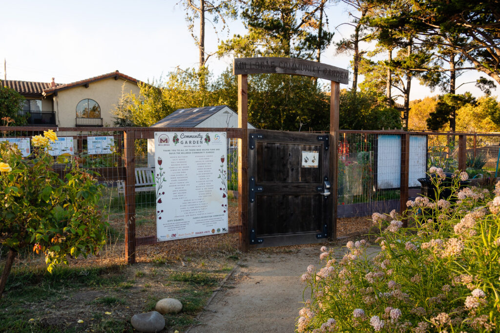 Entrance gate to the Millbrae Community Garden at Central Park – Ellobelle Photography