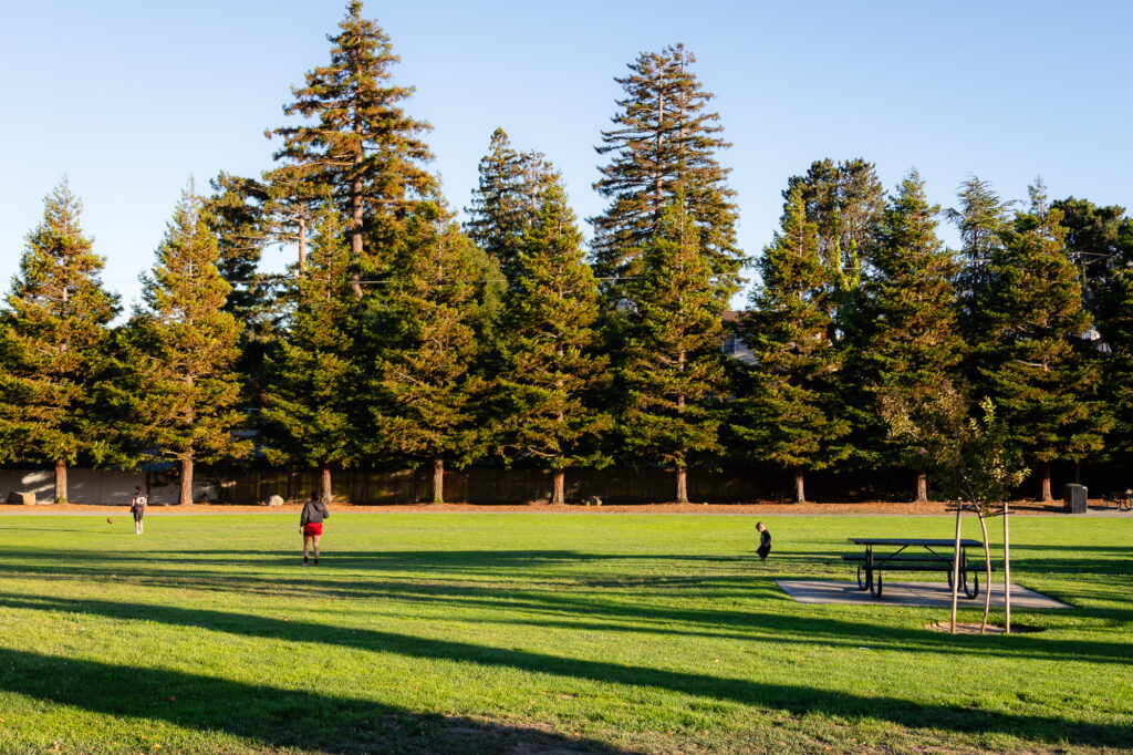 Open green field and picnic tables surrounded by redwood trees at Central Park Millbrae – Ellobelle Photography