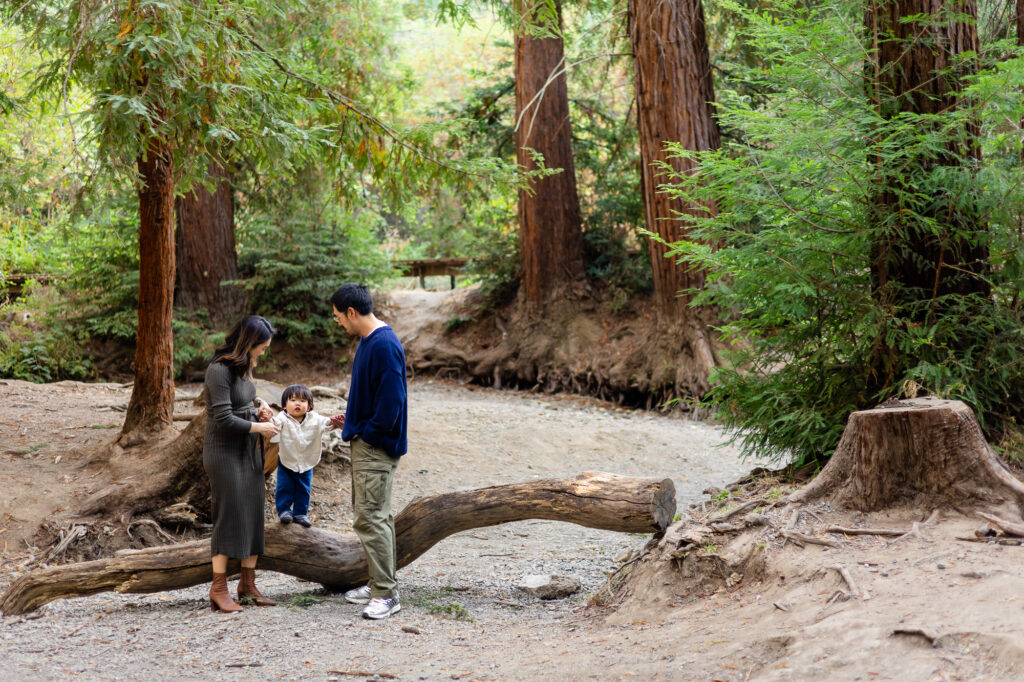 Family with toddler standing on a log at Redwood Grove Los Altos – Ellobelle Photography