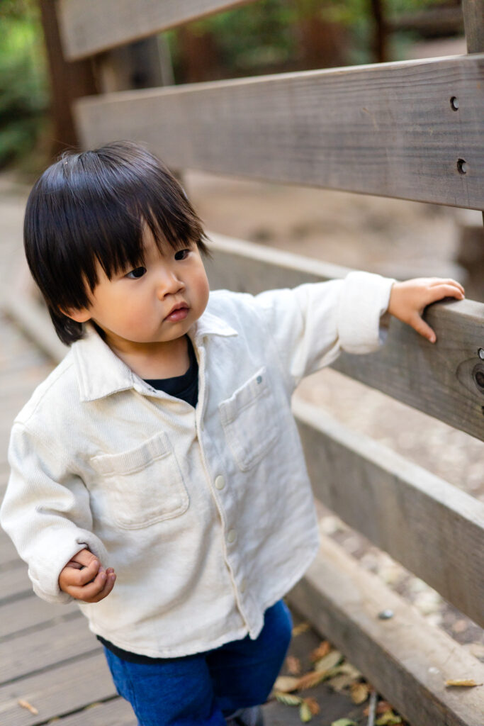 Toddler walking on wooden bridge at Redwood Grove Los Altos during family photo session Redwood Grove Nature Preserve photos Ellobelle Photography