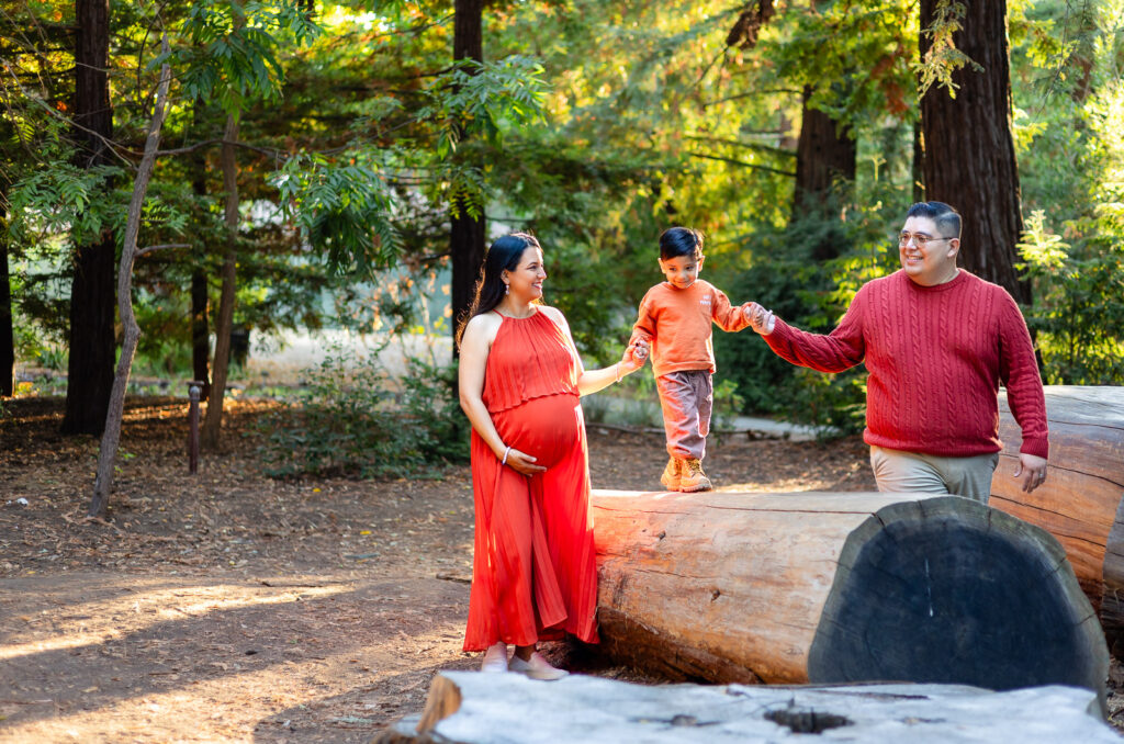 Family balancing on logs during Bay Area maternity session in the forest – Ellobelle Photography