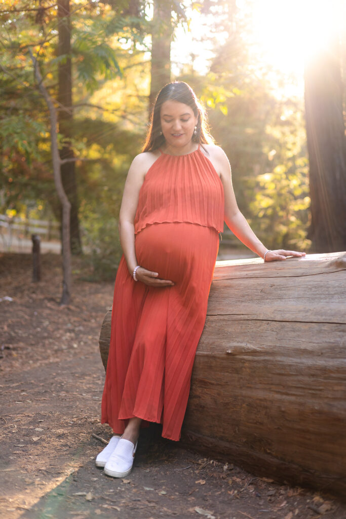 Backlit portrait of pregnant mother at Bay Area maternity shoot – Ellobelle Photography