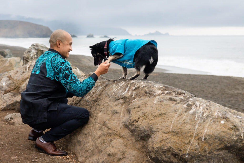 Man giving his dog a paw shake while smiling during candid photos with your dog