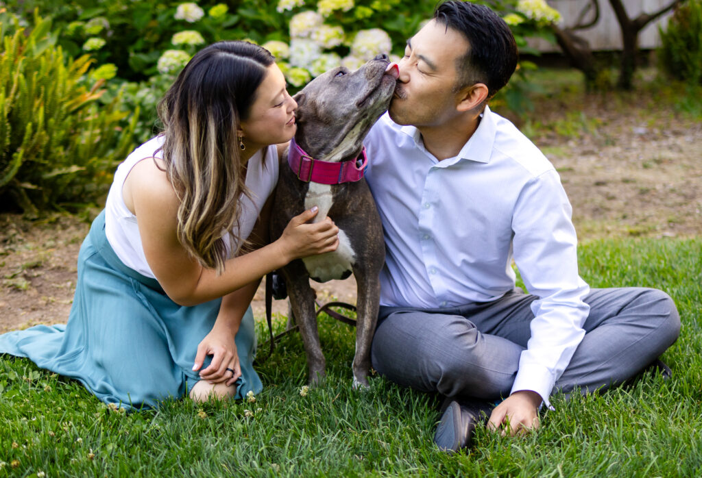 Dog licking man’s face while couple laughs during playful photo session with dog