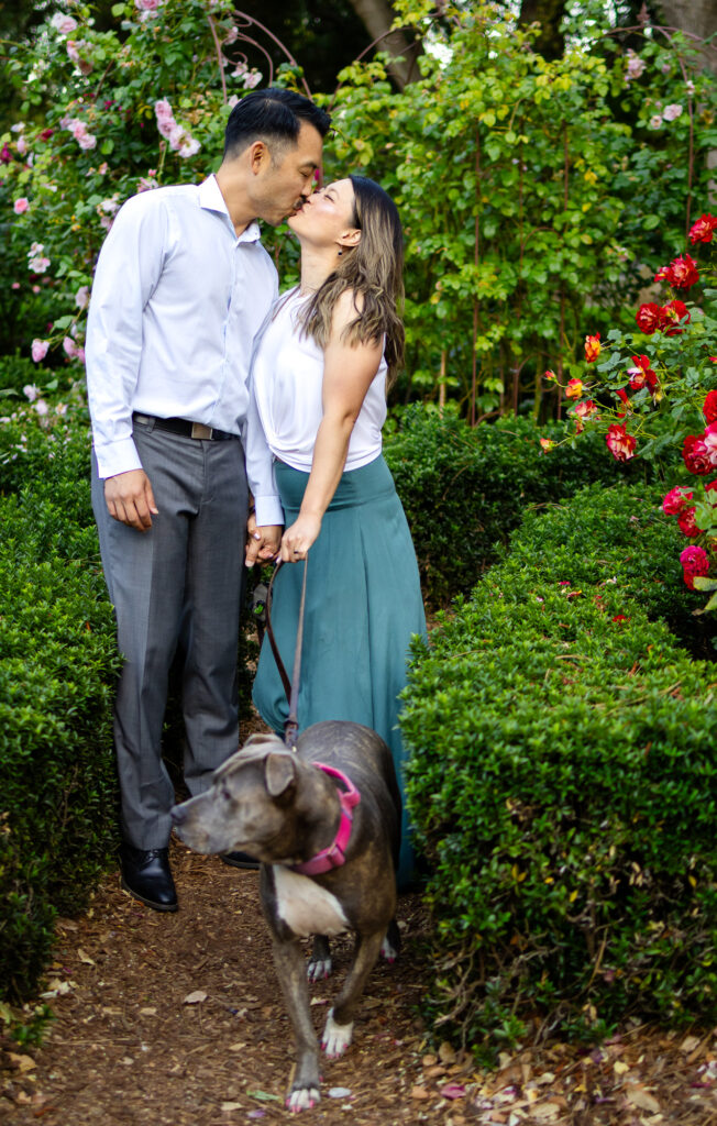 Couple kissing while walking their dog through a rose garden