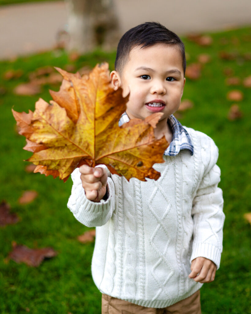 Toddler holding a large autumn leaf on the lawn during Peninsula Christmas photos at Filoli