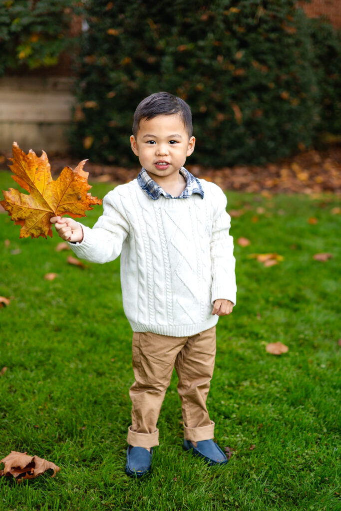 Young boy holding a fall leaf at Filoli Gardens during festive family sessions