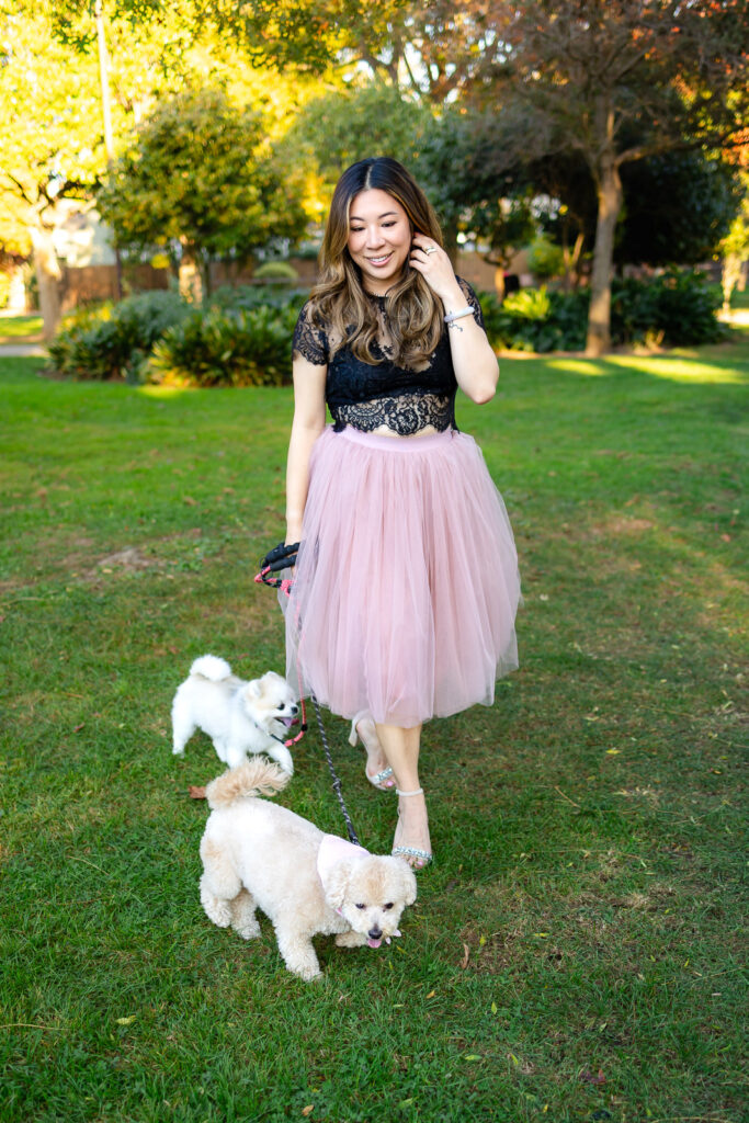 Woman walking two small dogs across a grassy area at a park by San Francisco pet photographer 