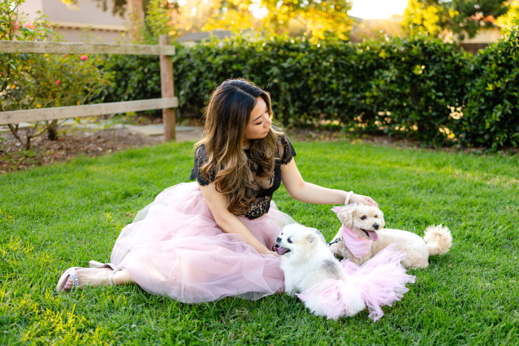 Woman petting her two dogs in warm golden light at a park with a San Francisco Dog Photographer