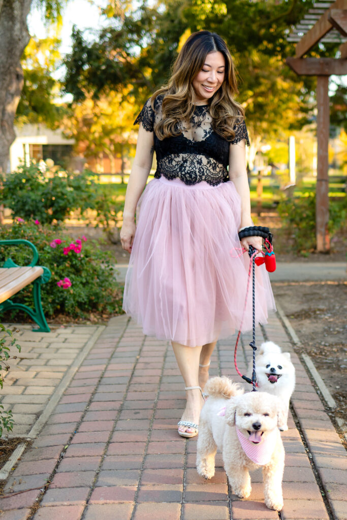 Woman walking two dogs along a brick pathway in a park photographed by a San Francisco Dog Photographer