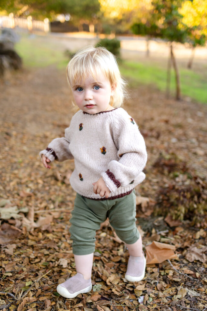 A toddler walks confidently through fallen leaves, exploring the park during a relaxed and stress-free family photos session outdoors.