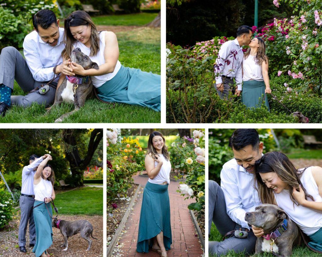 Couple cuddling their dog among blooming roses during a romantic garden portrait session on the San Francisco Peninsula.