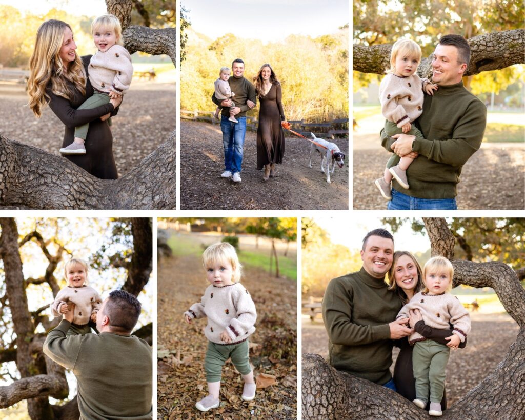 Family of three forest preserve with a young toddler walking their dog along shaded trails.