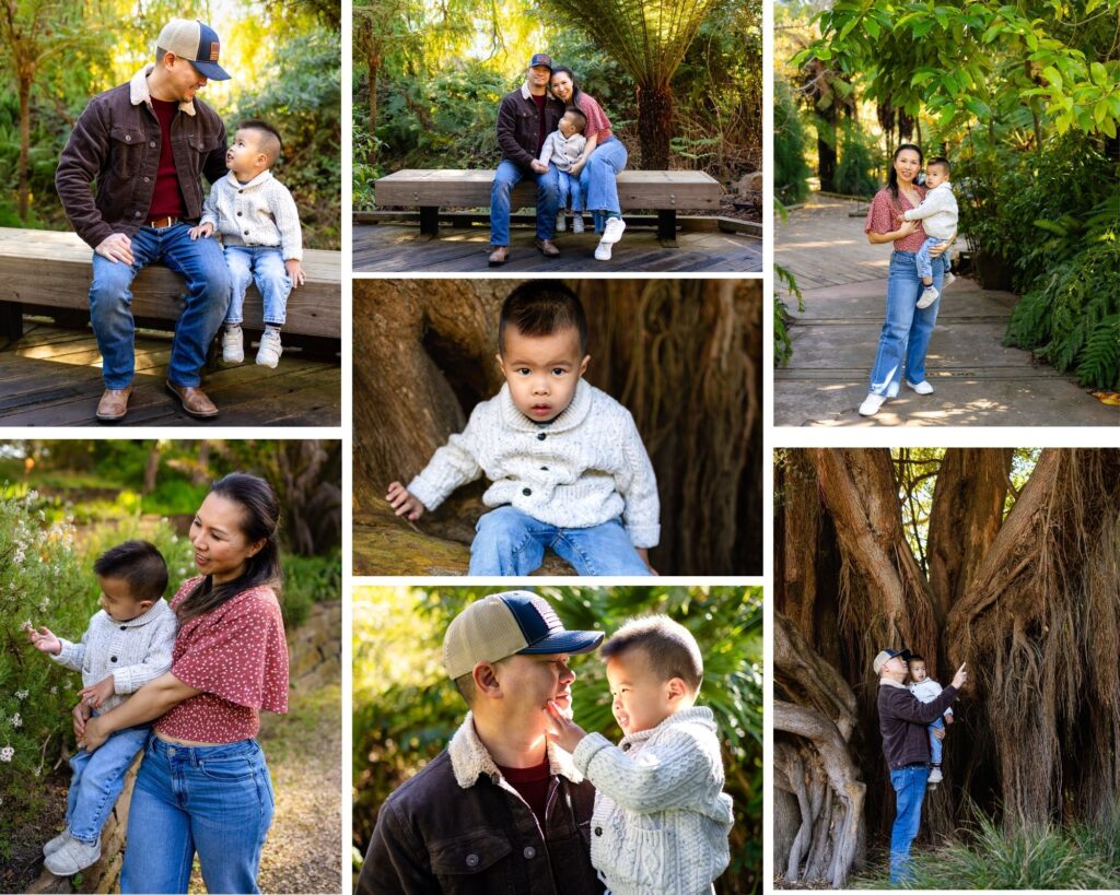 A family explores a the San Francisco Botanical Garden with a father and son sitting on a bench, a mother holding her toddler along a leafy path, and close up moments beneath large textured trees.