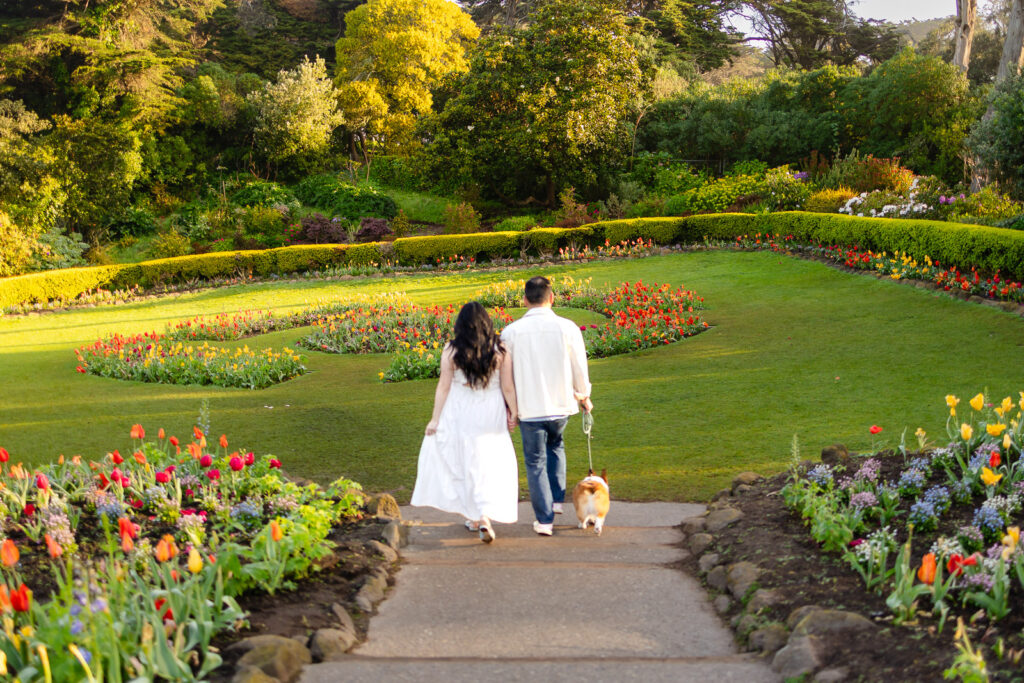 A wide composition showing a family walking on the gravel access paths that surround the blooming tulip beds near the Queen Wilhelmina Windmill.