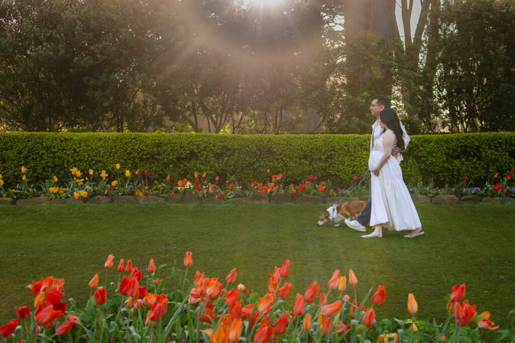 A family walks through a dense field of blooming tulips with the historic Dutch windmill prominent in the background in San Francisco.