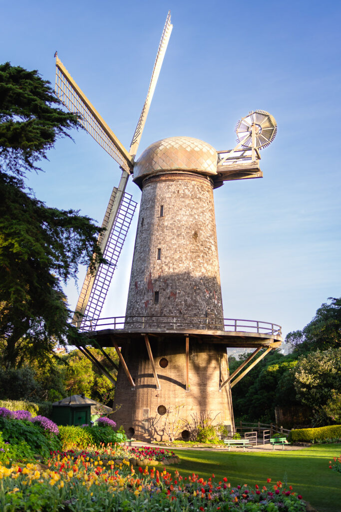 A vertical view of the Queen Wilhelmina Tulip Garden path leading to the historic windmill during a spring mini session in San Francisco.
