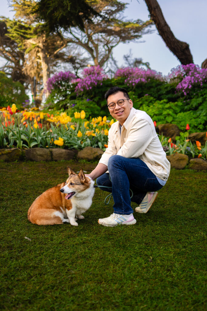 A low-angle shot of a corgi dog in front of rows of spring tulips, illustrating the toddler-friendly and pet-friendly pacing of Peninsula photography sessions.