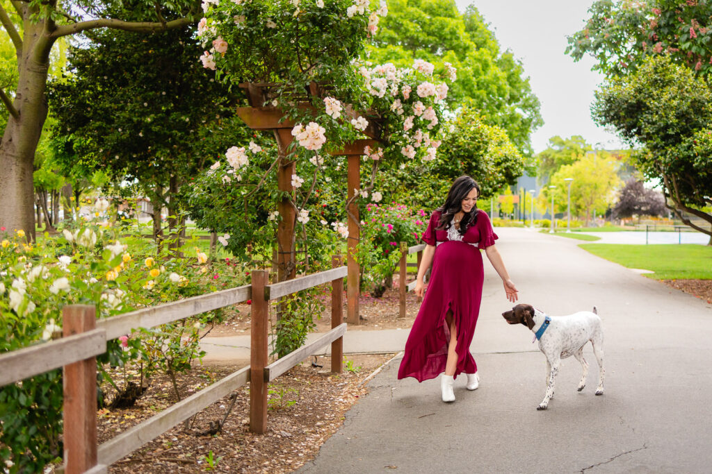 A woman walking her white dog along a scenic park fence during a fall mini session.