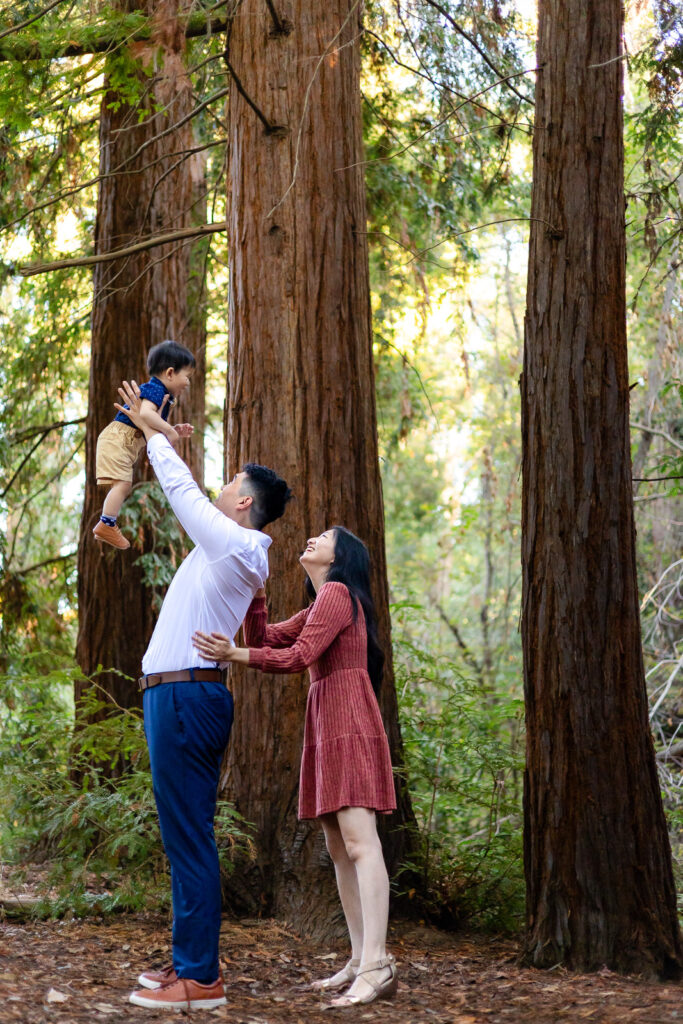 A family of three posing among towering redwood trees in Los Altos.