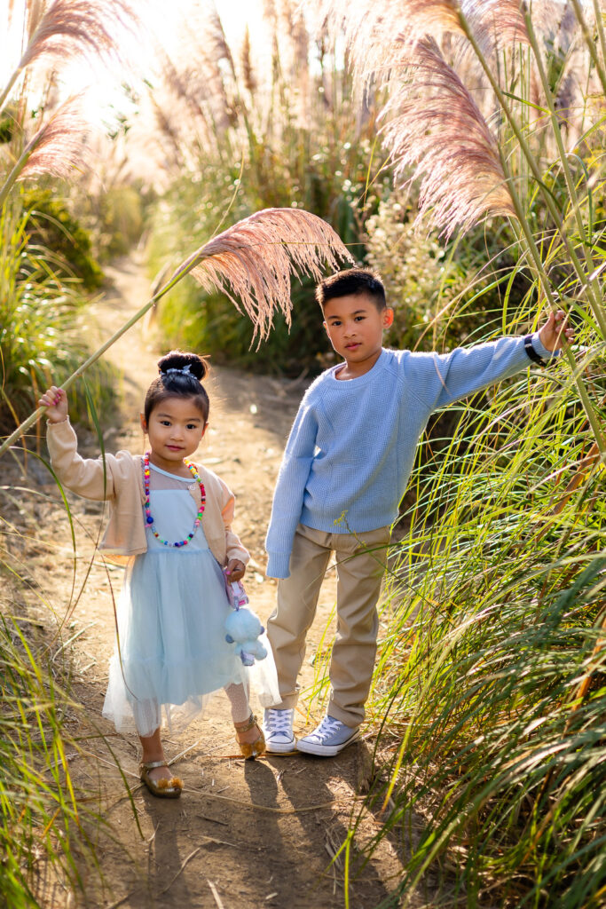 Children playing together in a sunlit pampas grass field