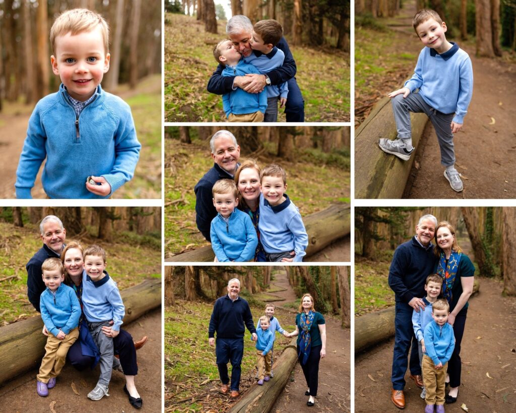 Family portraits beneath the towering trees along Lovers' Lane in the Presidio.