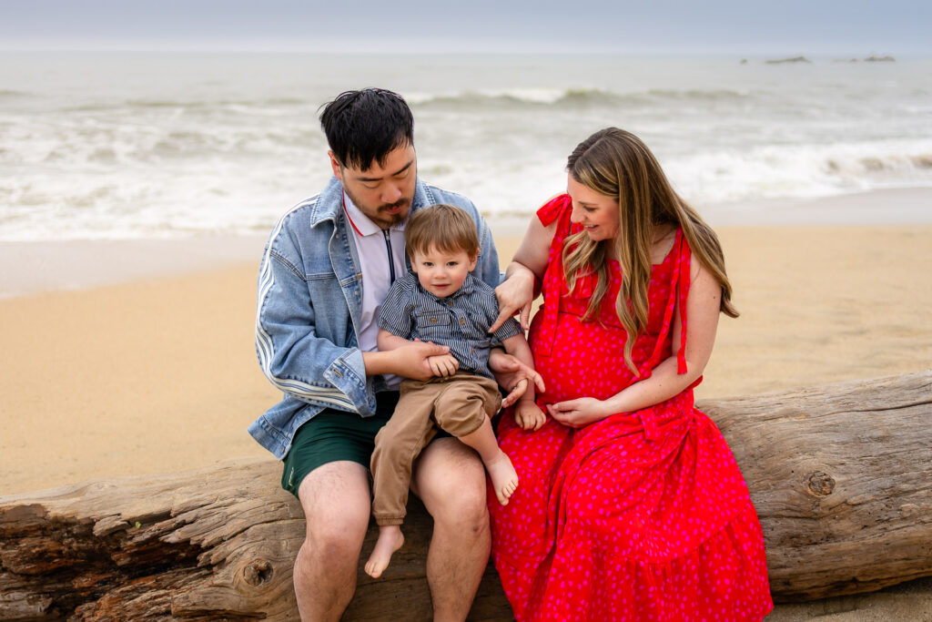 An expecting couple sits together with their toddler on driftwood overlooking the ocean during a coastal maternity session.