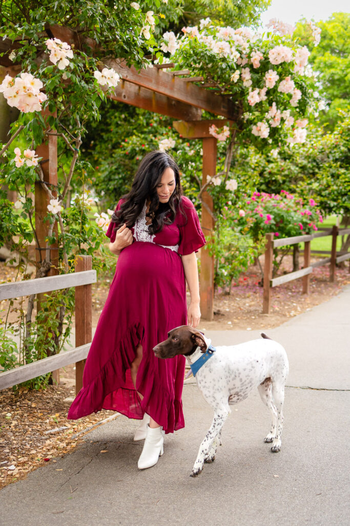 A pregnant woman wearing a vibrant pink dress walks her dog down a garden trail during a styled maternity shoot.