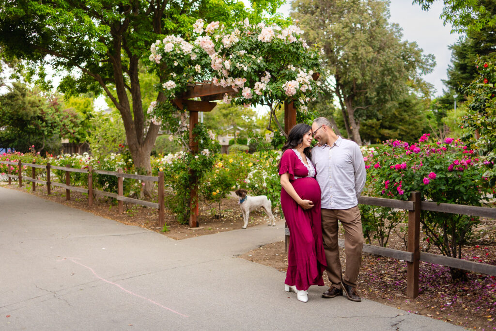 An expecting couple walking hand-in-hand down a paved garden path during a Peninsula maternity session.