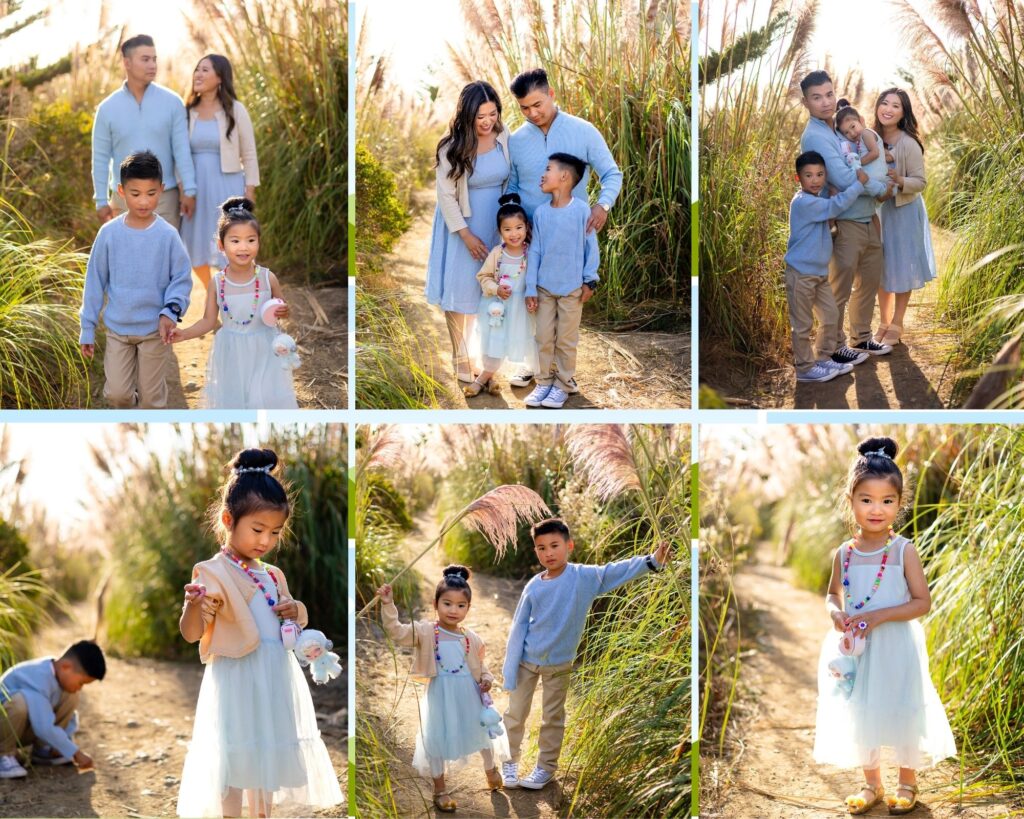 Family walking through golden pampas grass in Pacifica during sunset.