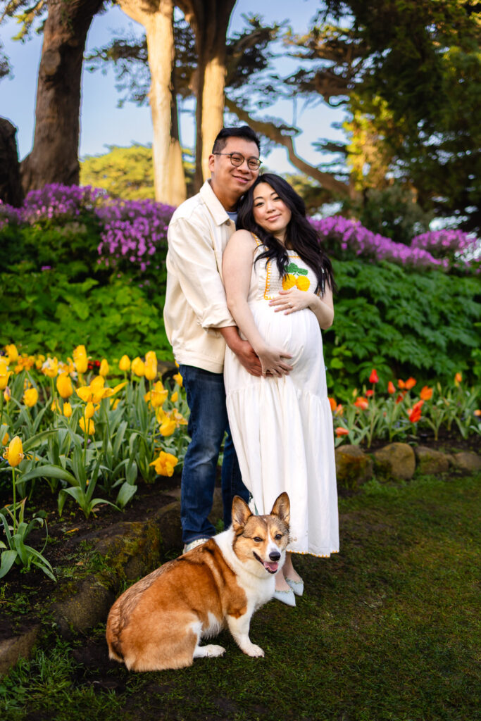 A happy expecting couple posing outdoors with their Corgi during a San Mateo County maternity photography session.
