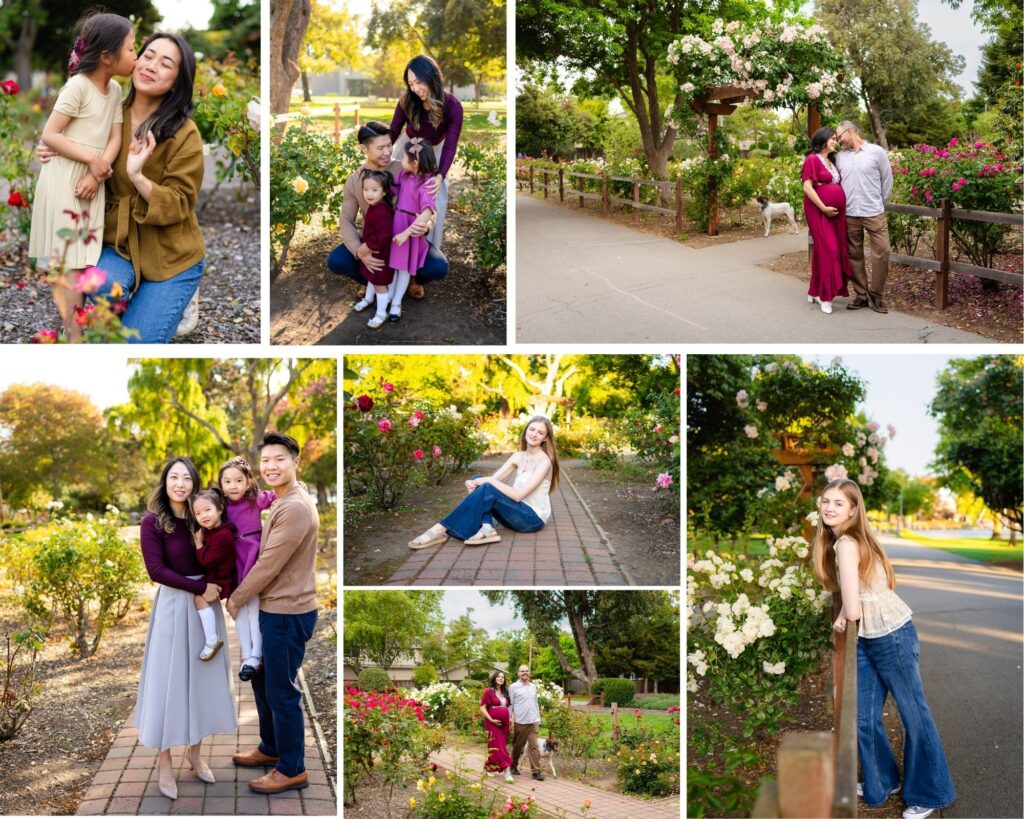 Family portraits among blooming roses and tree lined paths at Washington Park in Burlingame.