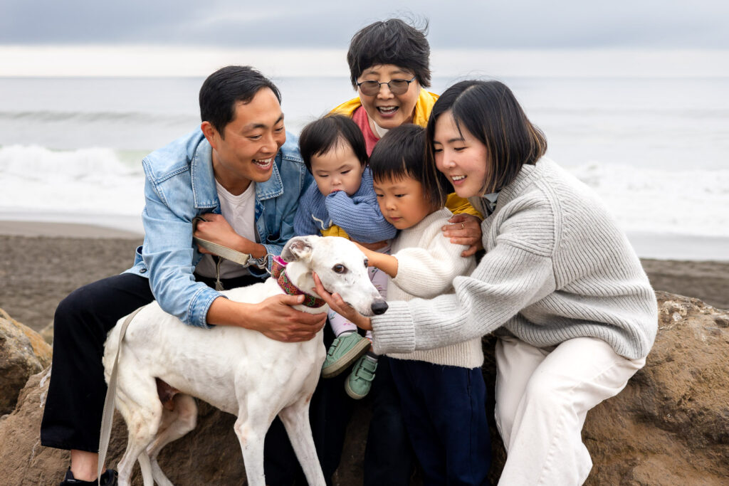 Three generation family gathered around their dog on the beach.