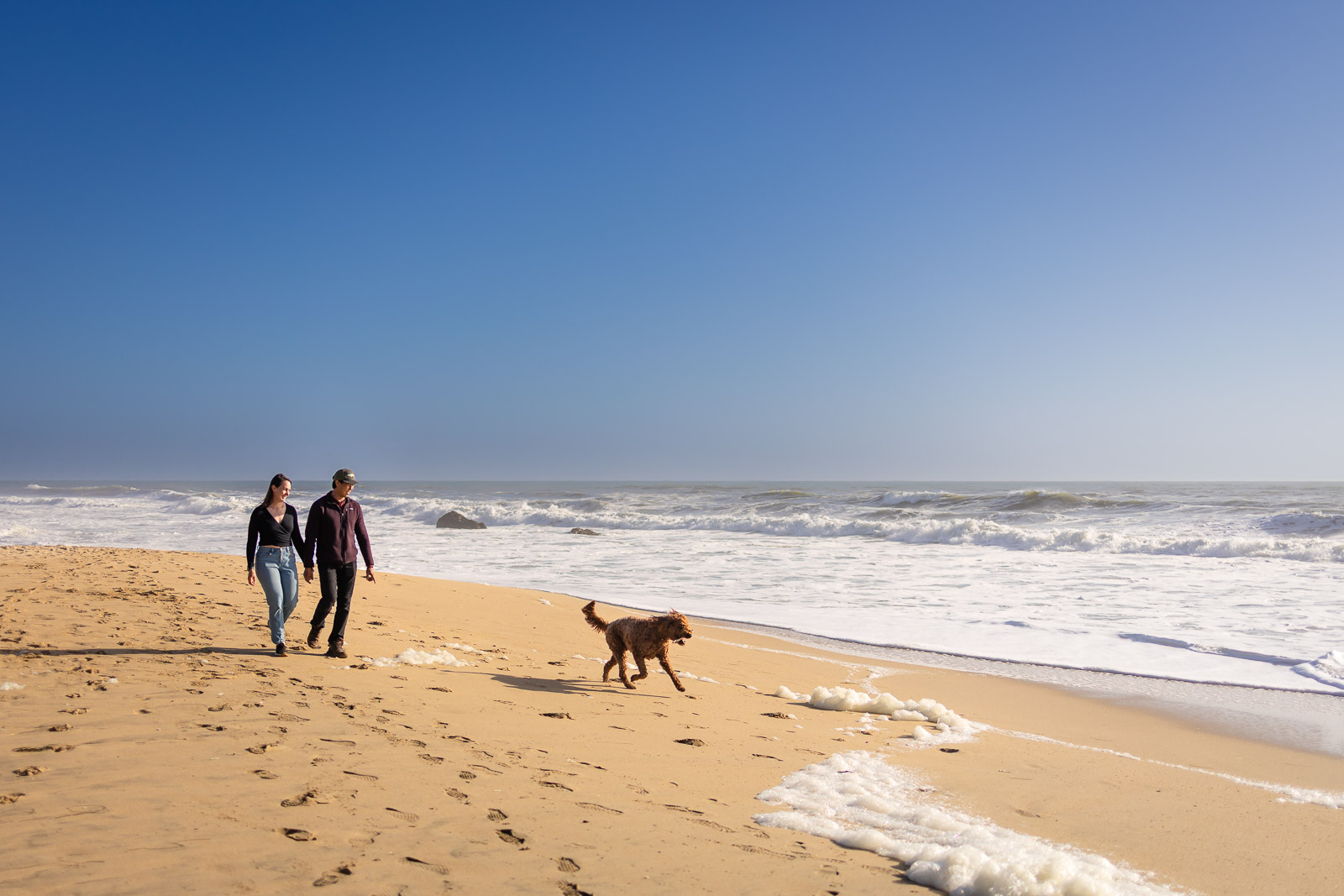 Couple walking along the beach while their dog runs beside the waves during a photo session with dog.